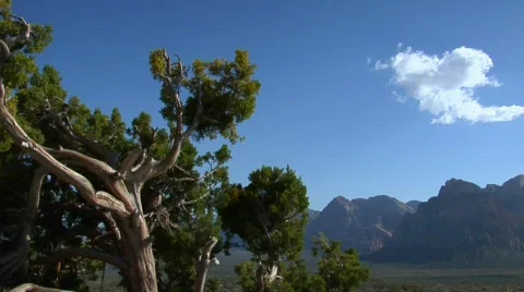 The SouthWest 29 - HD Stock Footage