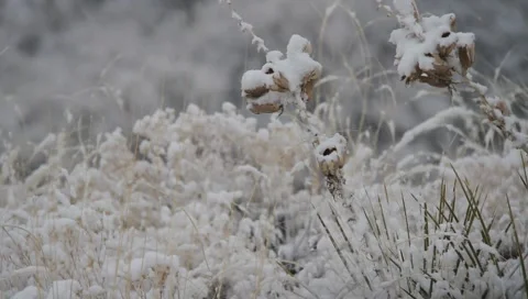 Southwest Snow Scene 2 Stock Footage 1060752