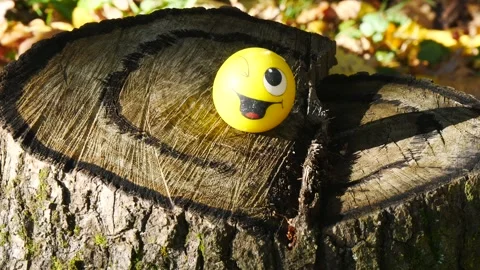 A souvenir in the form of a gingerbread man on a stump. Stock Footage 318481767