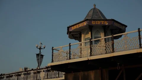 Souvenir Shell Shop Stock Footage 73602513