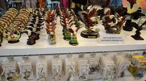 Souvenir shop 스톡 동영상 25428161