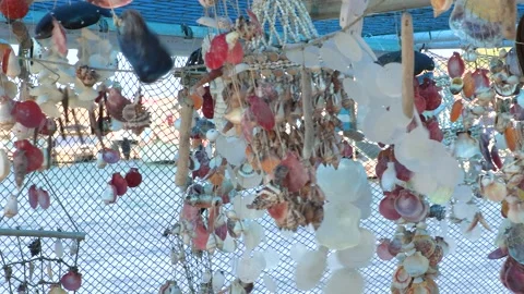Souvenirs made of crab shells hanging in the air and making sounds Stock Footage 196251617