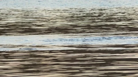 Sövde, Skåne, Sweden, Lake Stock Footage 219850018