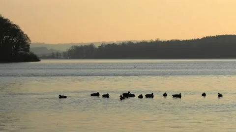 Sövde, Skåne, Sweden, Lake Stock Footage 219850040