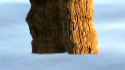 Sövde, Skåne, Sweden, Lake Stock Footage 219850084