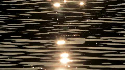 Sövde, Skåne, Sweden, Lake Stock Footage 219850107