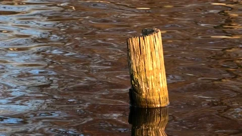 Sövde, Skåne, Sweden, Lake Stock Footage 219850313