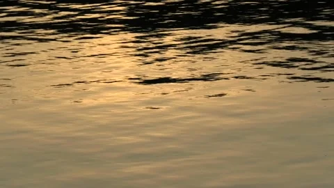Sövde, Skåne, Sweden, Lake Stock Footage 219850334