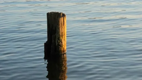 Sövde, Skåne, Sweden, Lake Stock Footage 219850453