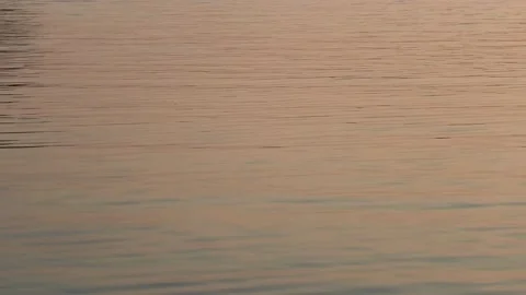 Sövde, Skåne, Sweden, Lake Stock Footage 219850492