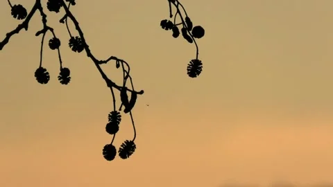 Sövde, Skåne, Sweden, Lake Stock Footage 219850551