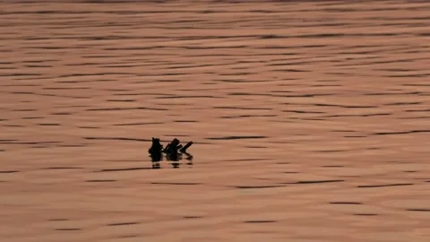 Sövde, Skåne, Sweden, Lake Stock Footage 219850737
