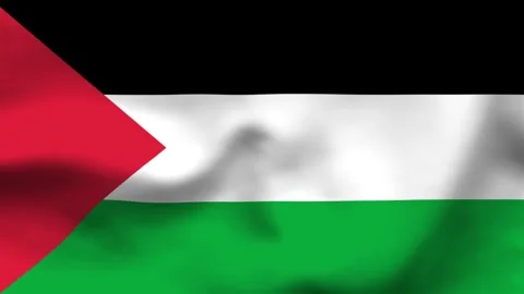 Sovereignty represented through the Palestinian flag waving in the wind 動画素材 335523879