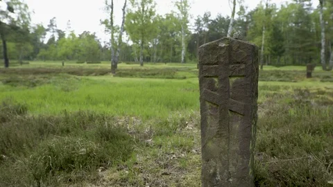 Soviet Cemetery at Bergen Belsen Stock Footage 79898629