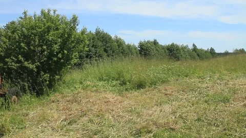 Soviet combine havester at the edge of the forest Stock Footage 97787280