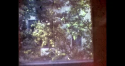 Soviet courtyard view from a window with green trees, USSR 1970s 動画素材 328116007