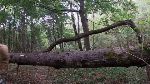 Soviet gas mask GP-4 "Green Elephant", protective kit for the head "Afghanka". 스톡 동영상 316979628