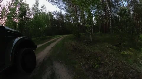 The Soviet lawn is driving fast on the road in the forest Stock Footage 196034226