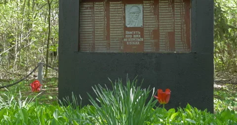Soviet monument to fallen soldiers Stock Footage 200947098