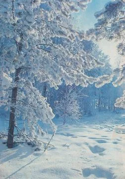 Soviet new year postcard with winter forest Stock Photos