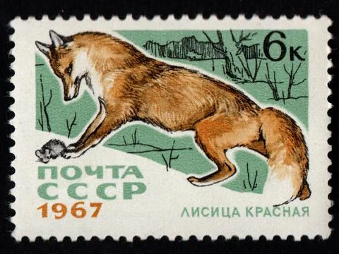 Soviet post stamp about fox. Post stamp about Arctic animal Stock Photos