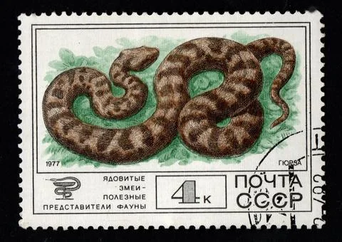 Soviet postage stamp dedicated to Macrovipera lebetinus. poisonous snake Stock Illustration