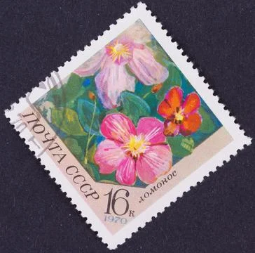 Soviet postage stamp with flowers, 1970 Stock Photos