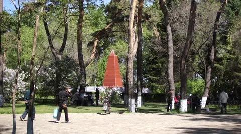 Soviet Red Army memorial in park of Heihe (China) Stock Footage 51373155