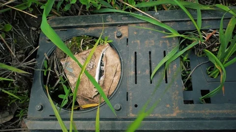 Soviet Romantic Recorder Stock Footage 83499487