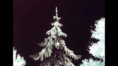 SOVIET UNION - 1958 - In this animated short film, Santa Claus lends Spunky a Stock Footage 323263121