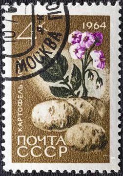 SOVIET UNION - CIRCA 1964 : Cancelled postage stamp printed by USSR, that sho Stock Photos
