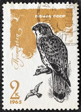 Soviet Union - circa 1965 : Cancelled postage stamp printed by Soviet Union,  Stock Photos