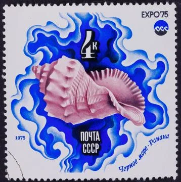 Soviet Union Postage Stamp Featuring Seashell and Waves Stock Photos