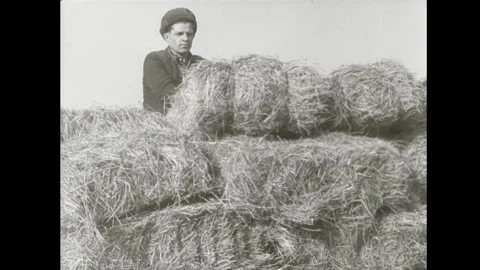 Soviet workers in the field. Agriculture Stock Footage 260928591