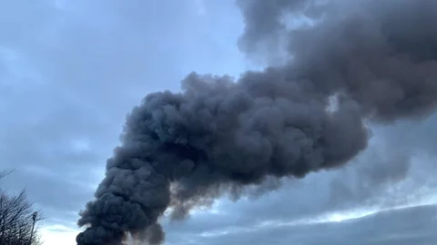 Sow motion Black Smoke 動画素材 168479769