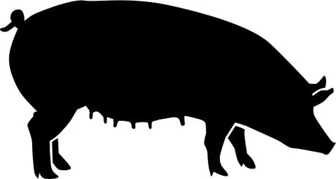 Sow with teat Stock Illustration