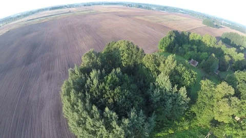 Sowed autumn fields and old homestead with trees, aerial view Stock Footage 79813307