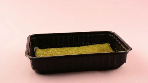 Sowing amaranth in a microgreen container Stock Footage 132962361