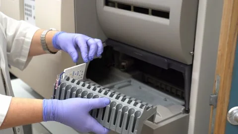 Sowing bacteria on a Petri dish Stock-Footage 147195083