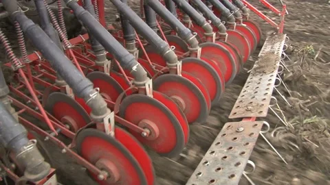 Sowing the field with corn grains. tractor works the field with a seeder. Video stock 154475348