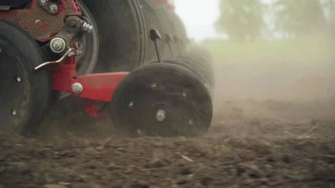 Sowing the field with corn grains. tractor works the field with a seeder. Stock Footage 208882549