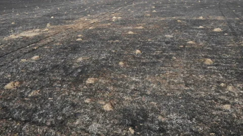 Sowing fields. Fields dug by moles. Black earth.4k aerial drone footage flying Stock Footage 106293094