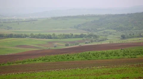 Sowing on hills Video stock 977928