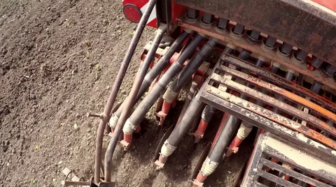 The sowing of peas in the spring. Stock Footage 67417999