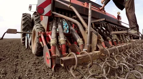 The sowing of peas in the spring. Stock Footage 67418576