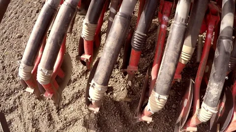The sowing of peas in the spring. Stock Footage 67418649