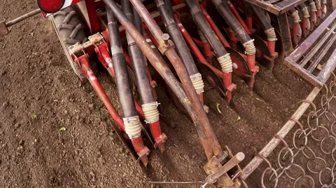 The sowing of peas in the spring. Stock Footage 67419067