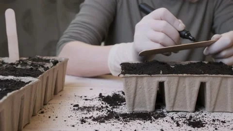 Sowing in peat pots with soil. Growing plants at home. Woman making tags on seed Stock Footage 228970519