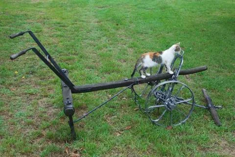 Sowing Plough Stock Photos