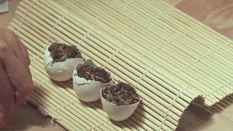 Sowing seeds on an eggshell containing soil mix and use as a seed starter Stock Footage 310763684